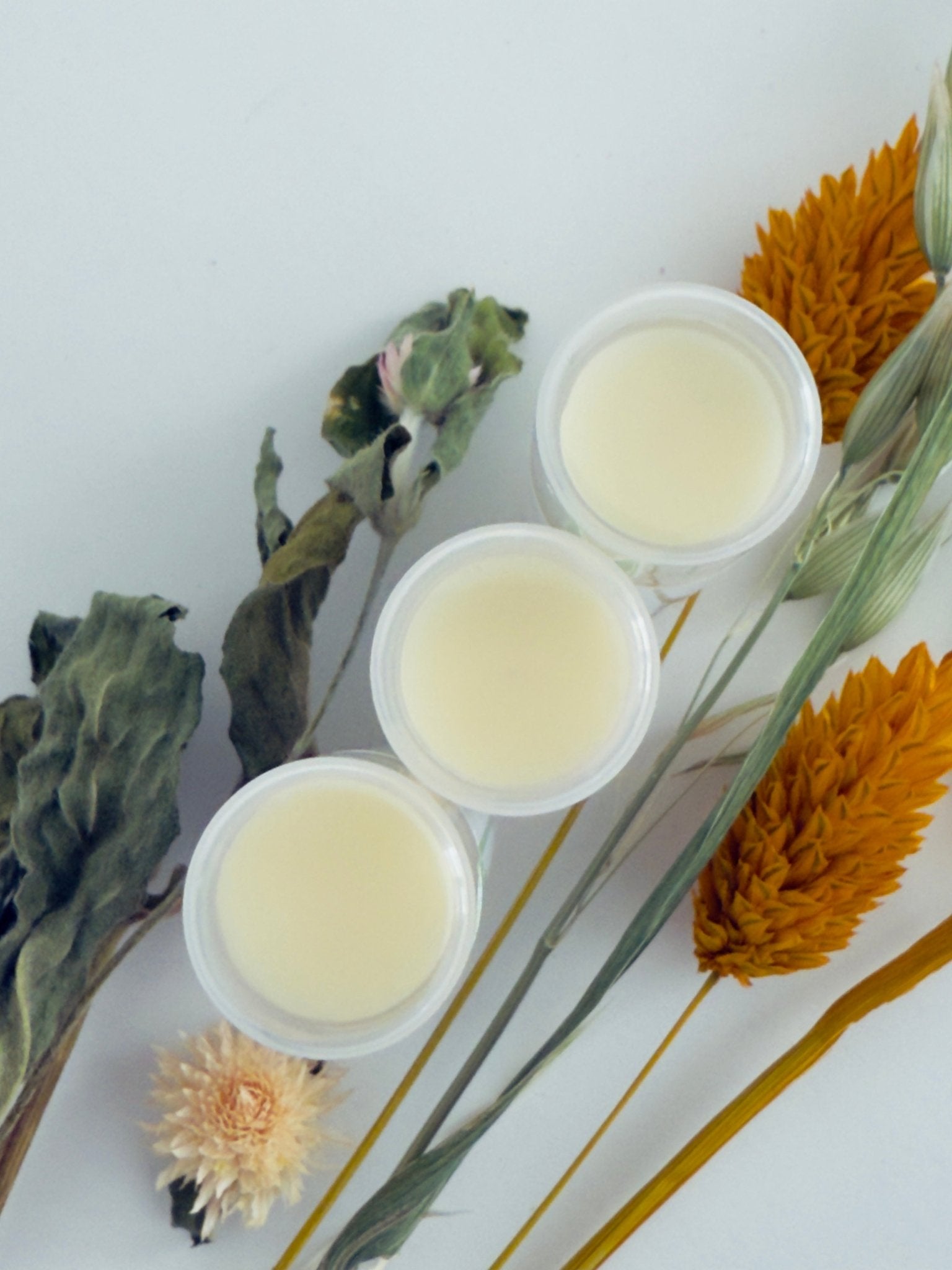 Organic Tallow Lip Balm - Botika Skincare
